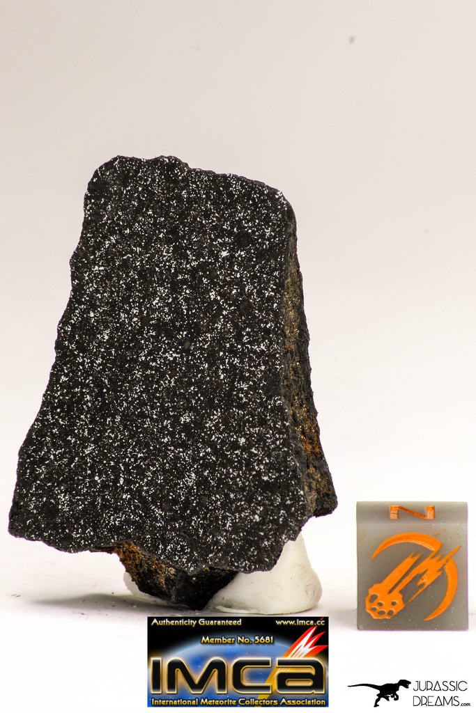 08945 - Top Rare NWA Polished Section of Enstatite Chondrite EL6 20.6 g