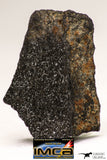 08945 - Top Rare NWA Polished Section of Enstatite Chondrite EL6 20.6 g