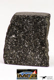 08947 - Top Rare NWA Polished Section of Enstatite Chondrite EL6 5.2 g