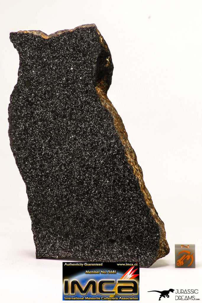 08950 - Top Rare Museum Grade NWA Polished Section of Enstatite Chondrite EL6 340.8 g