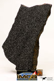 08951 - Top Rare Museum Grade NWA Polished Section of Enstatite Chondrite EL6 396.8 g