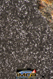08951 - Top Rare Museum Grade NWA Polished Section of Enstatite Chondrite EL6 396.8 g