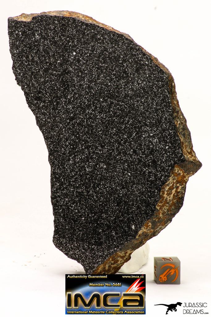 08953 - Top Rare Museum Grade NWA Polished Section of Enstatite Chondrite EL6 321.6 g