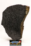 08954 -Top Rare Museum Grade NWA Polished Section of Enstatite Chondrite EL6  388.6 g with Fusion Crust