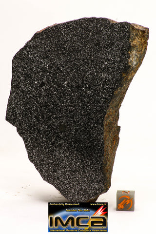 08954 -Top Rare Museum Grade NWA Polished Section of Enstatite Chondrite EL6  388.6 g with Fusion Crust