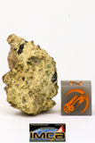 08955 - Fragment 8.492 g NWA Unclassified Diogenite Achondrite Meteorite
