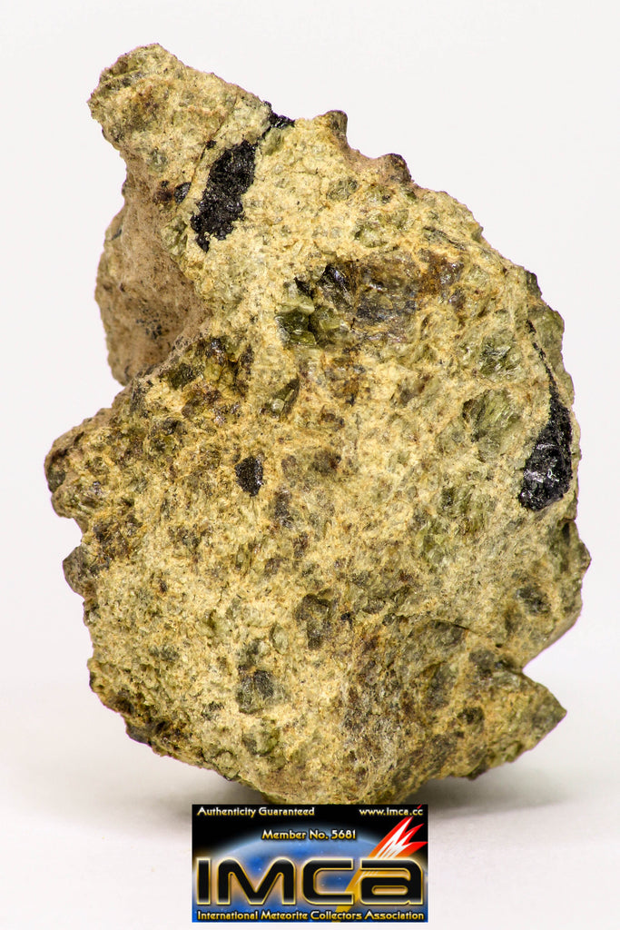 08955 - Fragment 8.492 g NWA Unclassified Diogenite Achondrite Meteorite