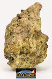 08955 - Fragment 8.492 g NWA Unclassified Diogenite Achondrite Meteorite