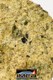 08956 - Fragment 2.501 g NWA Unclassified Diogenite Achondrite Meteorite