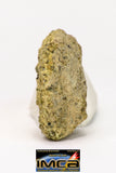 08956 - Fragment 2.501 g NWA Unclassified Diogenite Achondrite Meteorite