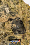 08957 - Fragment 1.829 g NWA Unclassified Diogenite Achondrite Meteorite