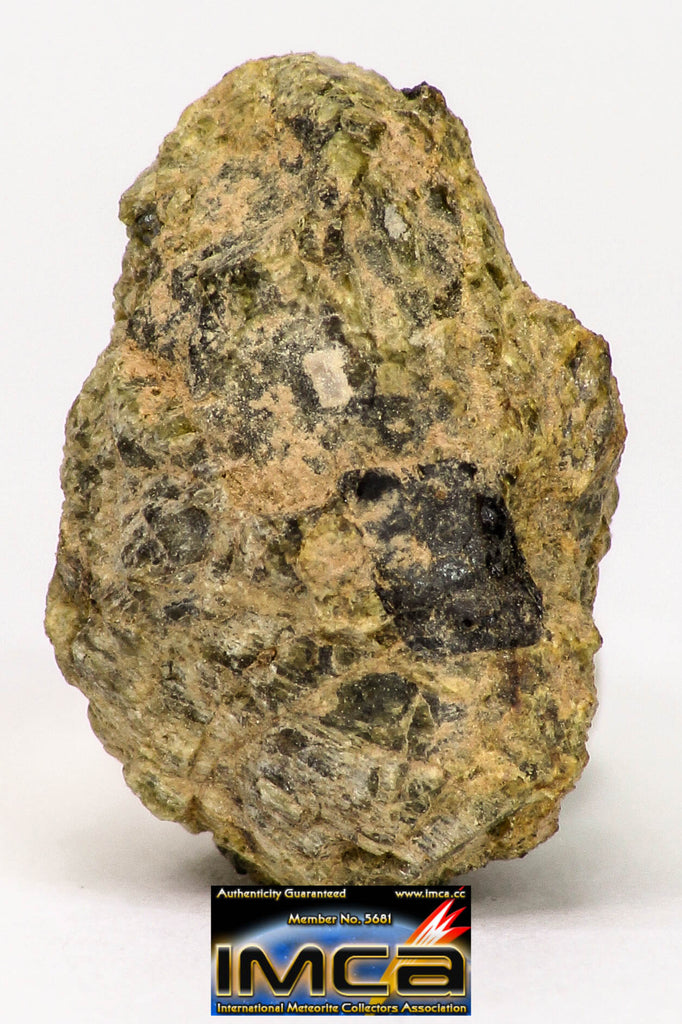 08957 - Fragment 1.829 g NWA Unclassified Diogenite Achondrite Meteorite