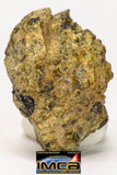08957 - Fragment 1.829 g NWA Unclassified Diogenite Achondrite Meteorite