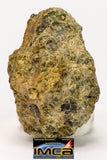 08957 - Fragment 1.829 g NWA Unclassified Diogenite Achondrite Meteorite