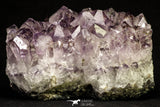20848 - Beautiful Purple Natural Amethyst Crystals Cluster Minas Gerais District - Brazil
