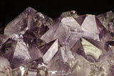20848 - Beautiful Purple Natural Amethyst Crystals Cluster Minas Gerais District - Brazil