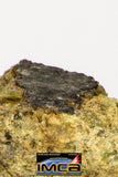 08958 - Fragment 1.554 g NWA Unclassified Diogenite Achondrite Meteorite