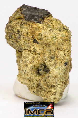 08958 - Fragment 1.554 g NWA Unclassified Diogenite Achondrite Meteorite
