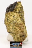 08958 - Fragment 1.554 g NWA Unclassified Diogenite Achondrite Meteorite