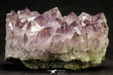 20848 - Beautiful Purple Natural Amethyst Crystals Cluster Minas Gerais District - Brazil