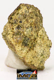 08958 - Fragment 1.554 g NWA Unclassified Diogenite Achondrite Meteorite