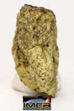 08958 - Fragment 1.554 g NWA Unclassified Diogenite Achondrite Meteorite
