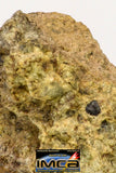 08959 - Fragment 0.753 g NWA Unclassified Diogenite Achondrite Meteorite