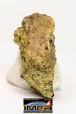08959 - Fragment 0.753 g NWA Unclassified Diogenite Achondrite Meteorite
