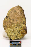 08959 - Fragment 0.753 g NWA Unclassified Diogenite Achondrite Meteorite