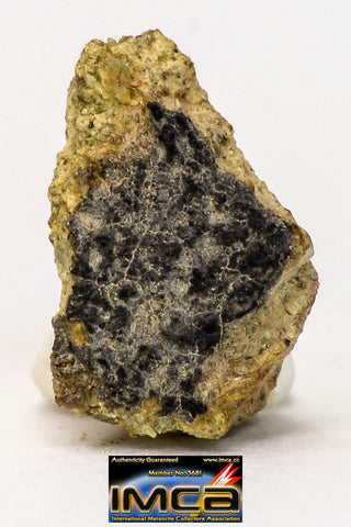 08963 - Fragment 0.521 g NWA Unclassified Diogenite Achondrite Meteorite