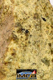 08963 - Fragment 0.521 g NWA Unclassified Diogenite Achondrite Meteorite