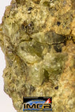 08964 - Fragment 0.432 g NWA Unclassified Diogenite Achondrite Meteorite