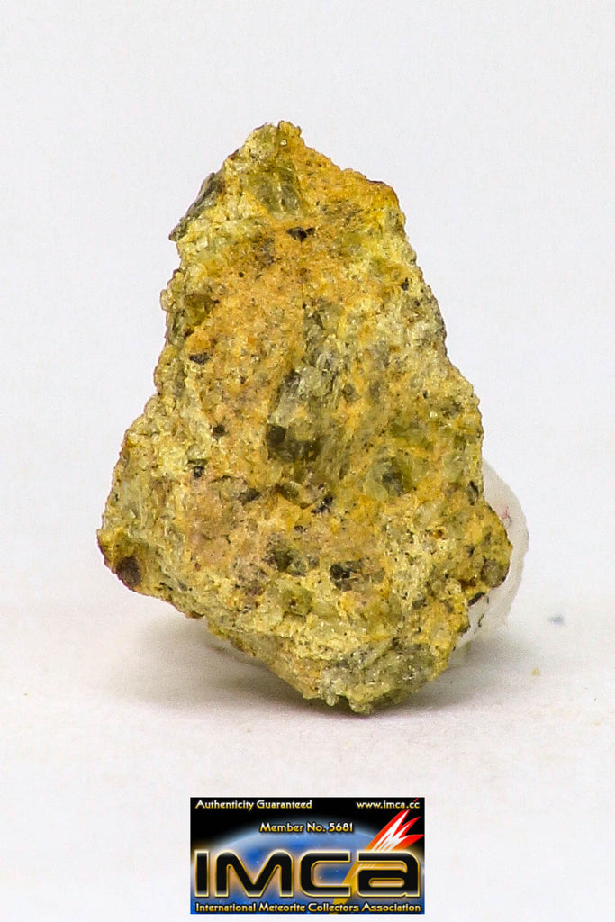 08966 - Fragment 0.223 g NWA Unclassified Diogenite Achondrite Meteorite