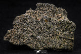 20850 - Lustrous Titanite (Sphene) Crystals - Imilchil Mine Morocco
