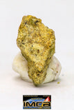 08966 - Fragment 0.223 g NWA Unclassified Diogenite Achondrite Meteorite