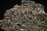 20850 - Lustrous Titanite (Sphene) Crystals - Imilchil Mine Morocco