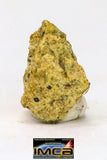 08966 - Fragment 0.223 g NWA Unclassified Diogenite Achondrite Meteorite