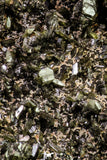 20851 - Lustrous Titanite (Sphene) Crystals - Imilchil Mine Morocco