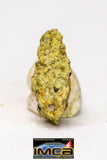 08968 - Fragment 0.177 g NWA Unclassified Diogenite Achondrite Meteorite