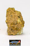 08968 - Fragment 0.177 g NWA Unclassified Diogenite Achondrite Meteorite
