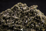 20851 - Lustrous Titanite (Sphene) Crystals - Imilchil Mine Morocco