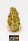 08968 - Fragment 0.177 g NWA Unclassified Diogenite Achondrite Meteorite