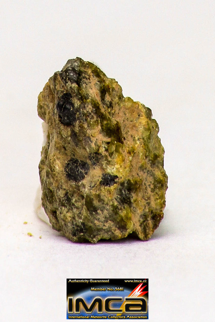 08969 - Fragment 0.158 g NWA Unclassified Diogenite Achondrite Meteorite