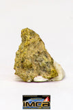08970 - Fragment 0.147 g NWA Unclassified Diogenite Achondrite Meteorite