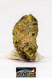 08971 - Fragment 0.187 g NWA Unclassified Diogenite Achondrite Meteorite