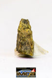 08972 - Fragment 0.185 g NWA Unclassified Diogenite Achondrite Meteorite