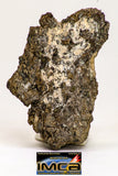 08974B - Top Rare 5.223 g NWA Unclassified Ureilite Achondrite Meteorite Polished Section