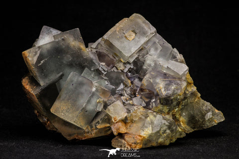 20855 - Top Pale Blue Fluorite Crystals on Matrix Hameda Fluorite Mine South Morocco