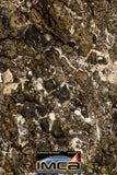 08975 - Top Rare 1.789 g NWA Unclassified Ureilite Achondrite Meteorite Polished Section