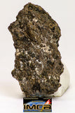 08975 - Top Rare 1.789 g NWA Unclassified Ureilite Achondrite Meteorite Polished Section